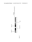 METHOD OF FORMING A PHOTONIC CRYSTAL MATERIAL diagram and image