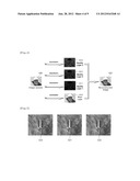 METHOD AND SYSTEM FOR PROVIDING MULTICAST AND BROADCAST SERVICE USING     SCALABLE VIDEO CODING diagram and image