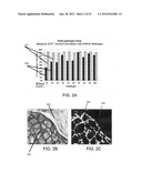 METHODS AND SYSTEMS FOR ANALYZING IMAGES OF SPECIMENS PROCESSED BY A     PROGRAMMABLE QUANTITATIVE ASSAY diagram and image