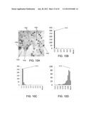 METHODS AND SYSTEMS FOR ANALYZING IMAGES OF SPECIMENS PROCESSED BY A     PROGRAMMABLE QUANTITATIVE ASSAY diagram and image