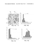 METHODS AND SYSTEMS FOR ANALYZING IMAGES OF SPECIMENS PROCESSED BY A     PROGRAMMABLE QUANTITATIVE ASSAY diagram and image