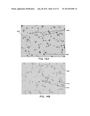 METHODS AND SYSTEMS FOR ANALYZING IMAGES OF SPECIMENS PROCESSED BY A     PROGRAMMABLE QUANTITATIVE ASSAY diagram and image