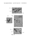 METHODS AND SYSTEMS FOR ANALYZING IMAGES OF SPECIMENS PROCESSED BY A     PROGRAMMABLE QUANTITATIVE ASSAY diagram and image