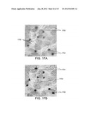 METHODS AND SYSTEMS FOR ANALYZING IMAGES OF SPECIMENS PROCESSED BY A     PROGRAMMABLE QUANTITATIVE ASSAY diagram and image