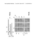 DRIVE ASSEMBLY FOR ROBOTIC CONVEYOR SYSTEM diagram and image