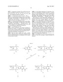 BENZOTHIAZOLE AND BENZOOXAZOLE DERIVATIVES AND METHODS OF USE diagram and image