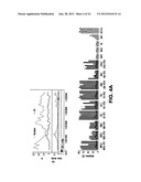 DIFFERENTIALLY METHYLATED REGIONS OF REPROGRAMMED INDUCED PLURIPOTENT STEM     CELLS, METHOD AND COMPOSITIONS THEREOF diagram and image