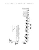 DIFFERENTIALLY METHYLATED REGIONS OF REPROGRAMMED INDUCED PLURIPOTENT STEM     CELLS, METHOD AND COMPOSITIONS THEREOF diagram and image