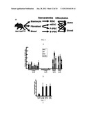 DIFFERENTIALLY METHYLATED REGIONS OF REPROGRAMMED INDUCED PLURIPOTENT STEM     CELLS, METHOD AND COMPOSITIONS THEREOF diagram and image