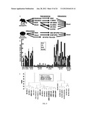 DIFFERENTIALLY METHYLATED REGIONS OF REPROGRAMMED INDUCED PLURIPOTENT STEM     CELLS, METHOD AND COMPOSITIONS THEREOF diagram and image