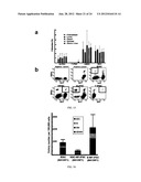 DIFFERENTIALLY METHYLATED REGIONS OF REPROGRAMMED INDUCED PLURIPOTENT STEM     CELLS, METHOD AND COMPOSITIONS THEREOF diagram and image