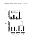 DIFFERENTIALLY METHYLATED REGIONS OF REPROGRAMMED INDUCED PLURIPOTENT STEM     CELLS, METHOD AND COMPOSITIONS THEREOF diagram and image