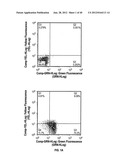 ULTRASONIC CAVITATION DERIVED STROMAL OR MESENCHYMAL VASCULAR EXTRACTS AND     CELLS DERIVED THEREFROM OBTAINED FROM ADIPOSE TISSUE AND USE THEREOF diagram and image