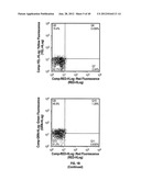 ULTRASONIC CAVITATION DERIVED STROMAL OR MESENCHYMAL VASCULAR EXTRACTS AND     CELLS DERIVED THEREFROM OBTAINED FROM ADIPOSE TISSUE AND USE THEREOF diagram and image