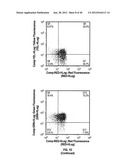 ULTRASONIC CAVITATION DERIVED STROMAL OR MESENCHYMAL VASCULAR EXTRACTS AND     CELLS DERIVED THEREFROM OBTAINED FROM ADIPOSE TISSUE AND USE THEREOF diagram and image