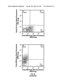 ULTRASONIC CAVITATION DERIVED STROMAL OR MESENCHYMAL VASCULAR EXTRACTS AND     CELLS DERIVED THEREFROM OBTAINED FROM ADIPOSE TISSUE AND USE THEREOF diagram and image