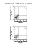 ULTRASONIC CAVITATION DERIVED STROMAL OR MESENCHYMAL VASCULAR EXTRACTS AND     CELLS DERIVED THEREFROM OBTAINED FROM ADIPOSE TISSUE AND USE THEREOF diagram and image