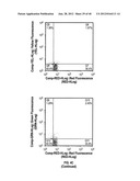 ULTRASONIC CAVITATION DERIVED STROMAL OR MESENCHYMAL VASCULAR EXTRACTS AND     CELLS DERIVED THEREFROM OBTAINED FROM ADIPOSE TISSUE AND USE THEREOF diagram and image