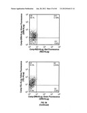 ULTRASONIC CAVITATION DERIVED STROMAL OR MESENCHYMAL VASCULAR EXTRACTS AND     CELLS DERIVED THEREFROM OBTAINED FROM ADIPOSE TISSUE AND USE THEREOF diagram and image