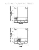 ULTRASONIC CAVITATION DERIVED STROMAL OR MESENCHYMAL VASCULAR EXTRACTS AND     CELLS DERIVED THEREFROM OBTAINED FROM ADIPOSE TISSUE AND USE THEREOF diagram and image