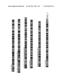 METHODS OF IDENTIFYING AN ORGANISM diagram and image