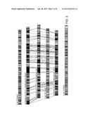 METHODS OF IDENTIFYING AN ORGANISM diagram and image