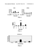 METHODS AND COMPOSITIONS FOR INDUCING APOPTOSIS diagram and image