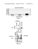 METHODS AND COMPOSITIONS FOR INDUCING APOPTOSIS diagram and image