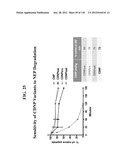 COMPOSITIONS COMPRISING NATRIURETIC PEPTIDES AND METHODS OF USE THEREOF diagram and image