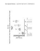 COMPOSITIONS COMPRISING NATRIURETIC PEPTIDES AND METHODS OF USE THEREOF diagram and image