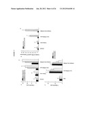 Cancer Vaccines and Therapeutic Methods diagram and image