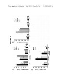 Cancer Vaccines and Therapeutic Methods diagram and image