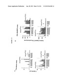 Cancer Vaccines and Therapeutic Methods diagram and image