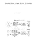 Cancer Vaccines and Therapeutic Methods diagram and image