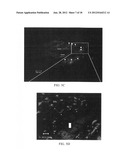 STEM CELL BEACON diagram and image