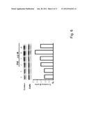 NOVEL METHODS FOR MODULATING MELANIN PRODUCTION diagram and image