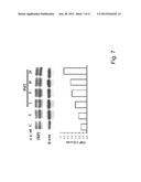 NOVEL METHODS FOR MODULATING MELANIN PRODUCTION diagram and image