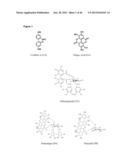 Compositions and Methods for Improving Mitochondrial Function and Treating     Neurodegenerative Diseases and Cognitive Disorders diagram and image