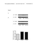 Compositions and Methods for Improving Mitochondrial Function and Treating     Neurodegenerative Diseases and Cognitive Disorders diagram and image