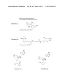 APPARATUS AND METHOD FOR PERFORMING NUCLEIC ACID ANALYSIS diagram and image