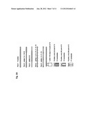 SET OF OLIGONUCLEOTIDE PROBES AS WELL AS METHODS AND USES THERETO diagram and image