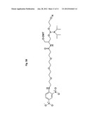 SET OF OLIGONUCLEOTIDE PROBES AS WELL AS METHODS AND USES THERETO diagram and image