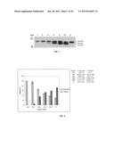 Method of detecting botulinum neurotoxin and antibodies that neutralize     botulinum neurotoxin action diagram and image