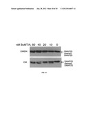 Method of detecting botulinum neurotoxin and antibodies that neutralize     botulinum neurotoxin action diagram and image