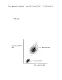 SAMPLE MEASURING APPARATUS AND SAMPLE MEASURING METHOD diagram and image