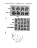 NEW STRAIN OF SALMONELLA ENTERICA S. TYPHIMURIUM, ITS USE AND A METHOD TO     OBTAIN A THERAPEUTIC VACCINE VECTOR diagram and image