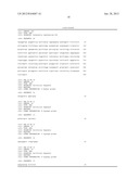 NEW STRAIN OF SALMONELLA ENTERICA S. TYPHIMURIUM, ITS USE AND A METHOD TO     OBTAIN A THERAPEUTIC VACCINE VECTOR diagram and image