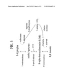 POLYPEPTIDES AND BIOSYNTHETIC PATHWAYS FOR THE PRODUCTION OF STEREOISOMERS     OF MONATIN AND THEIR PERCURSORS diagram and image