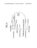 POLYPEPTIDES AND BIOSYNTHETIC PATHWAYS FOR THE PRODUCTION OF STEREOISOMERS     OF MONATIN AND THEIR PERCURSORS diagram and image