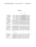 POLYPEPTIDES AND BIOSYNTHETIC PATHWAYS FOR THE PRODUCTION OF STEREOISOMERS     OF MONATIN AND THEIR PERCURSORS diagram and image